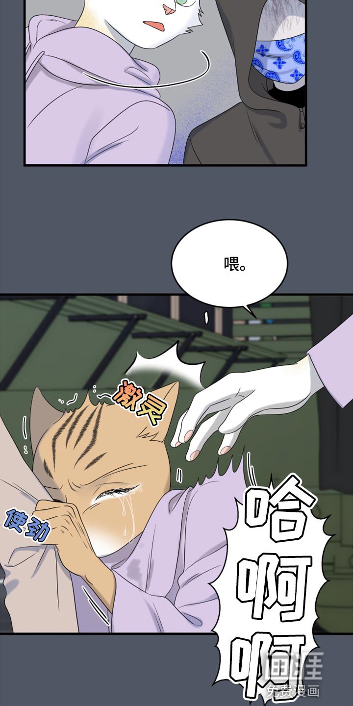第78章：【第二季】中弹