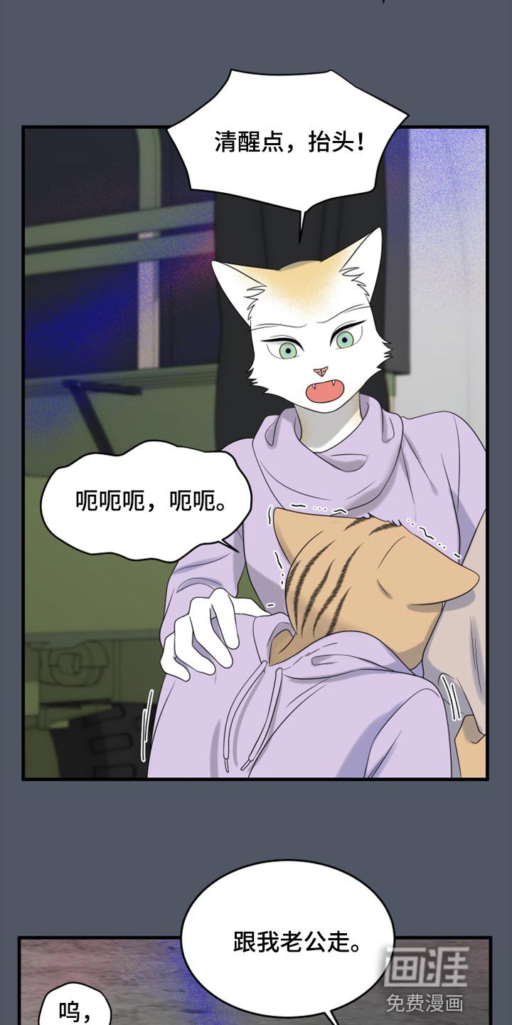 第78章：【第二季】中弹