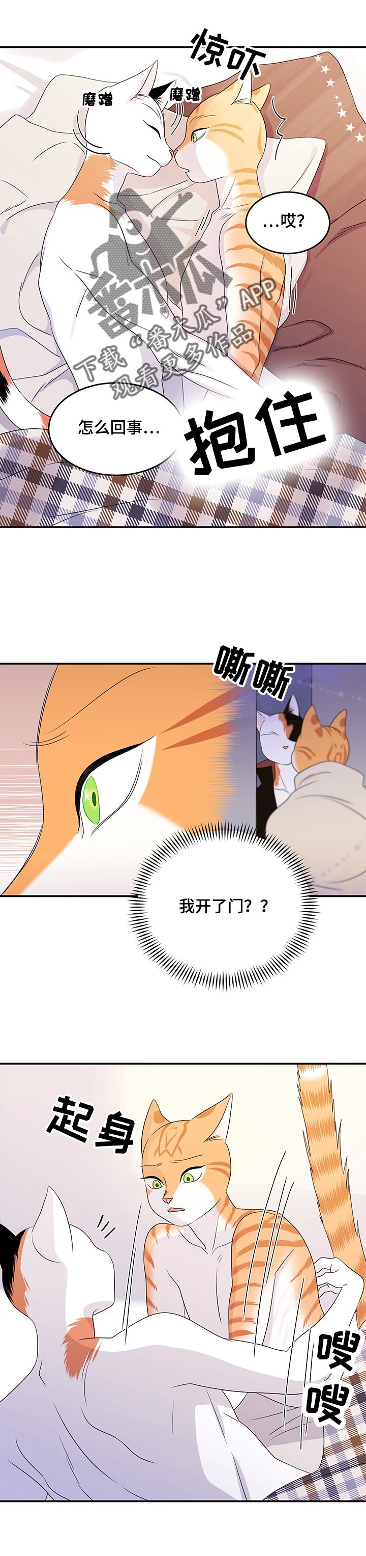 第8章：你醒了