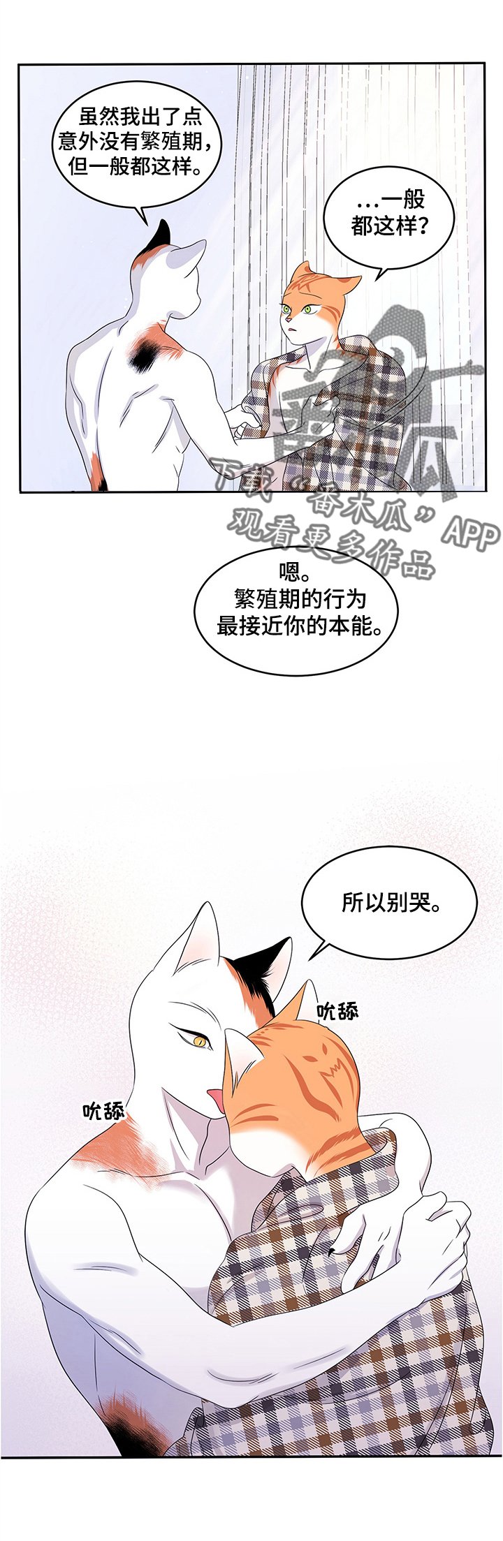 第8章：你醒了
