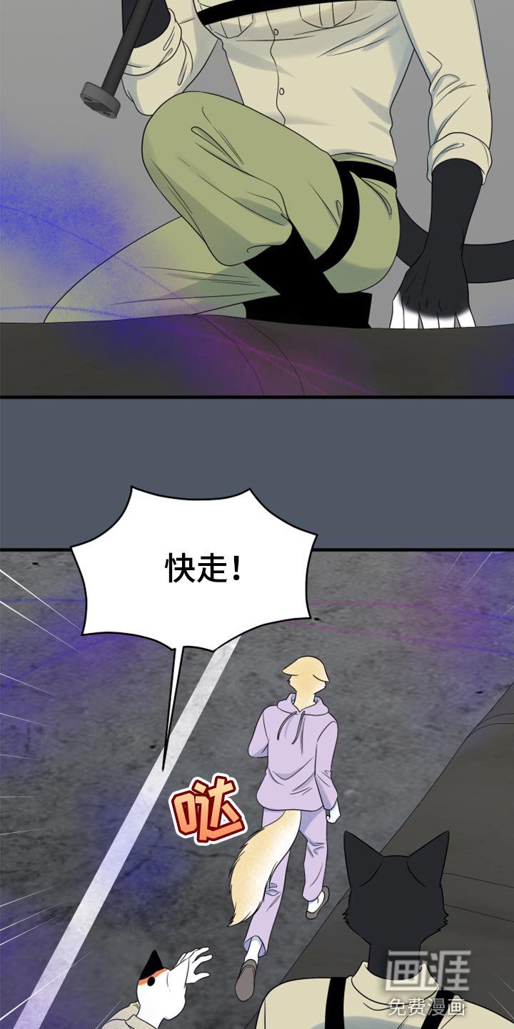 第80章：【第二季】捕猎