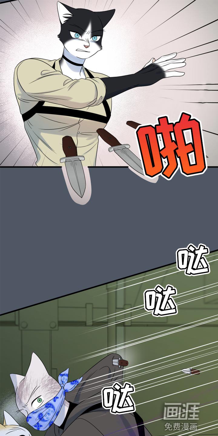 第80章：【第二季】捕猎