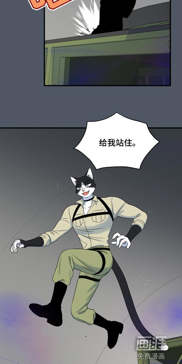 第80章：【第二季】捕猎