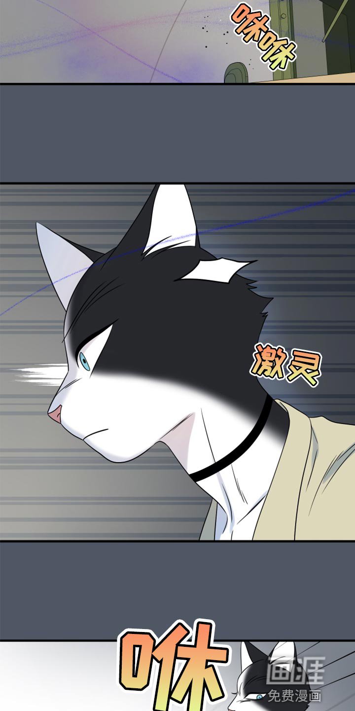 第80章：【第二季】捕猎