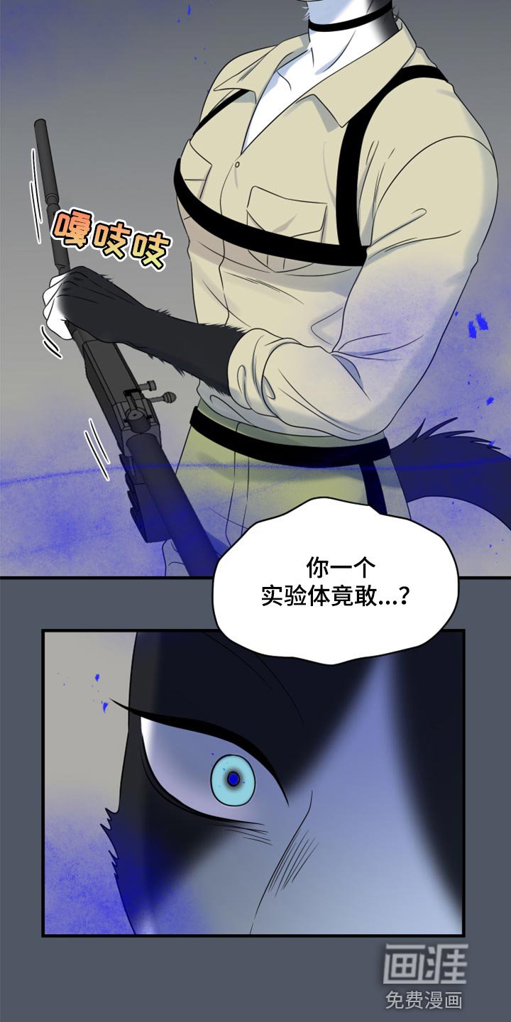 第80章：【第二季】捕猎
