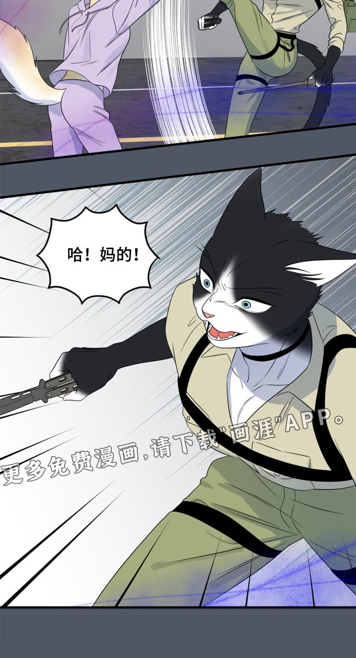 第80章：【第二季】捕猎