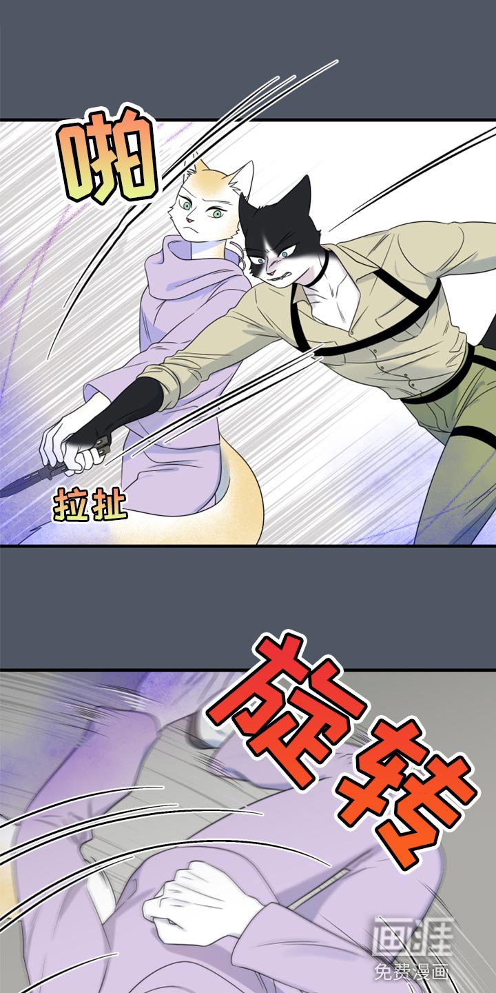 第81章：【第二季】爆炸
