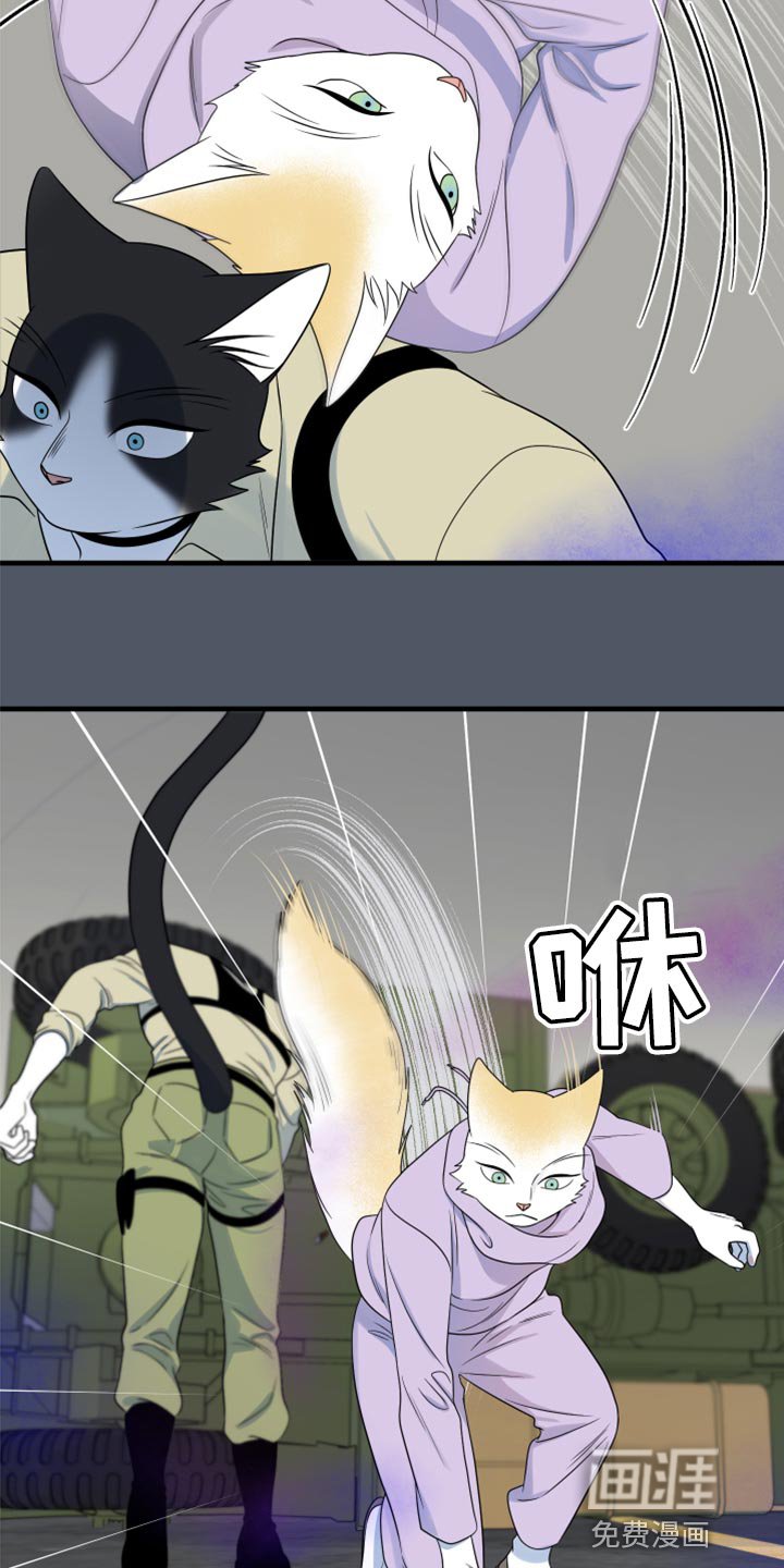 第81章：【第二季】爆炸