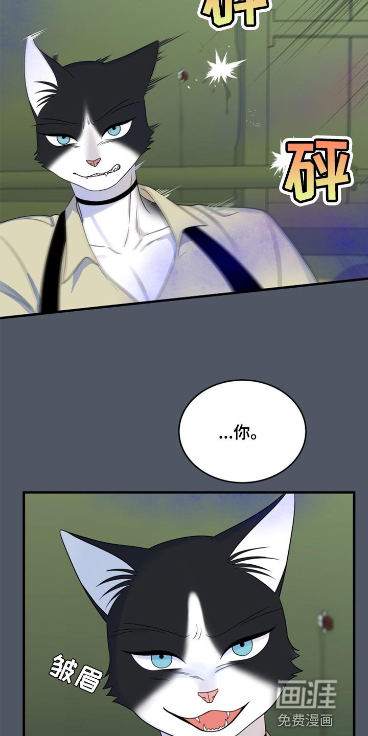 第81章：【第二季】爆炸