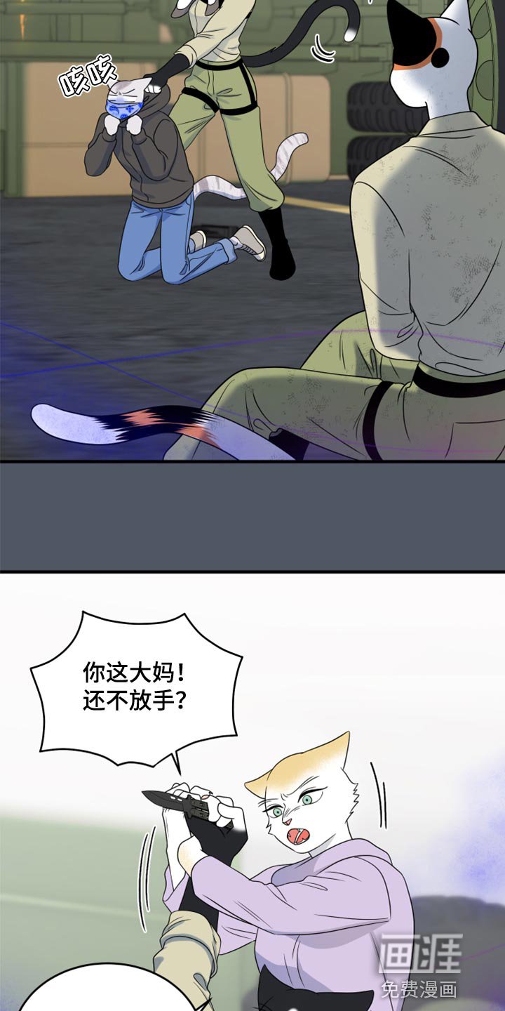 第81章：【第二季】爆炸