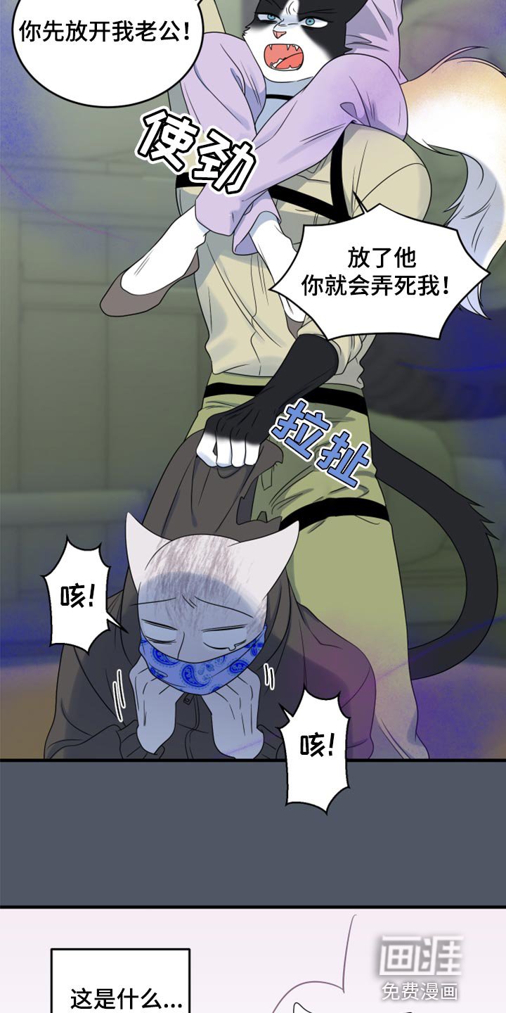 第81章：【第二季】爆炸