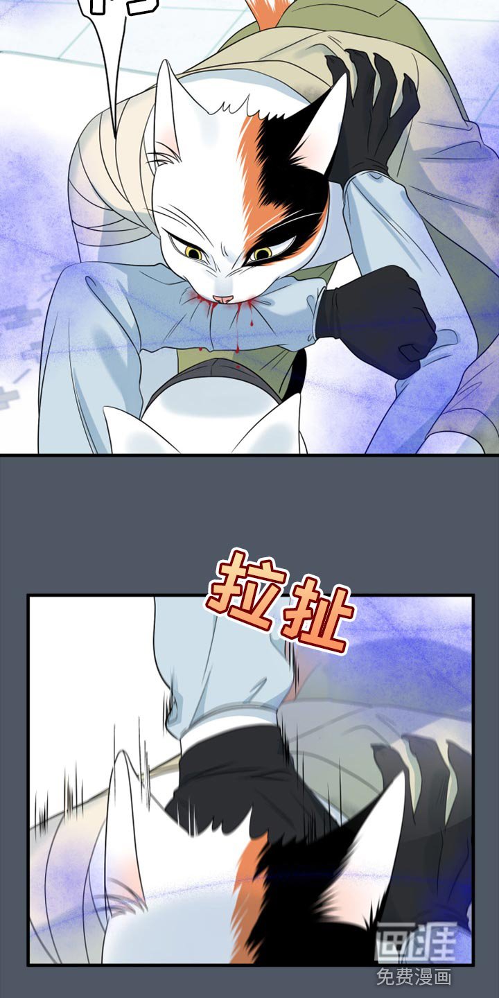 第82章：【第二季】失控