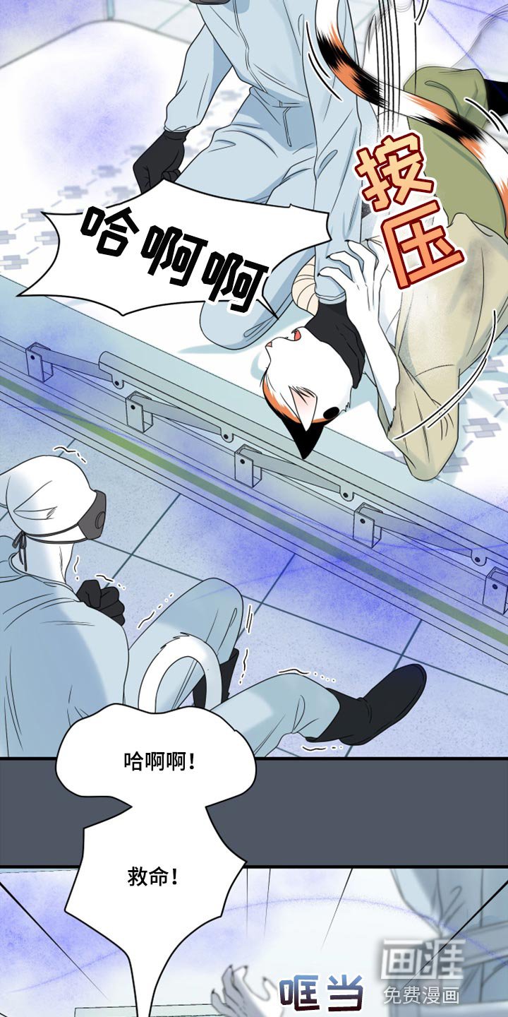 第82章：【第二季】失控