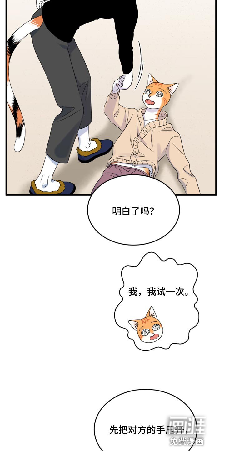 第84章：【第二季】学习防身术