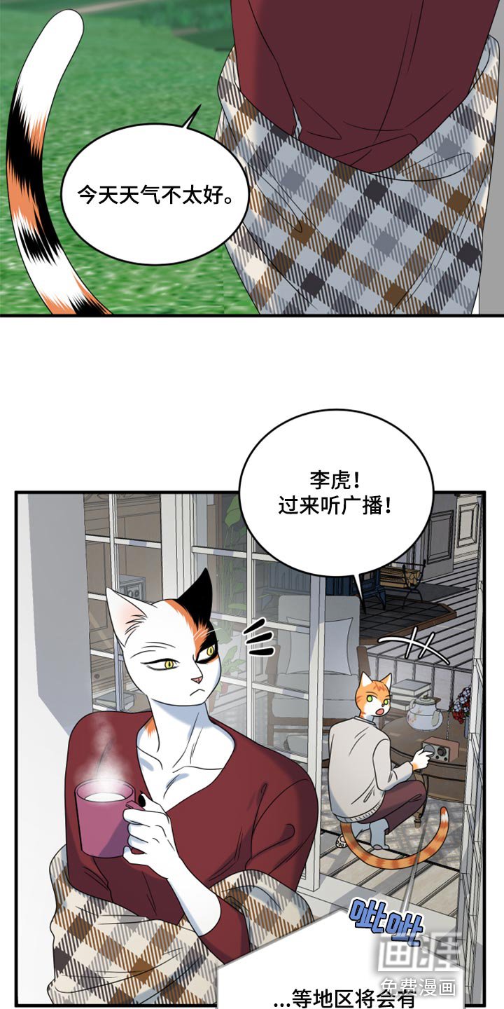 第85章：【第二季】台风