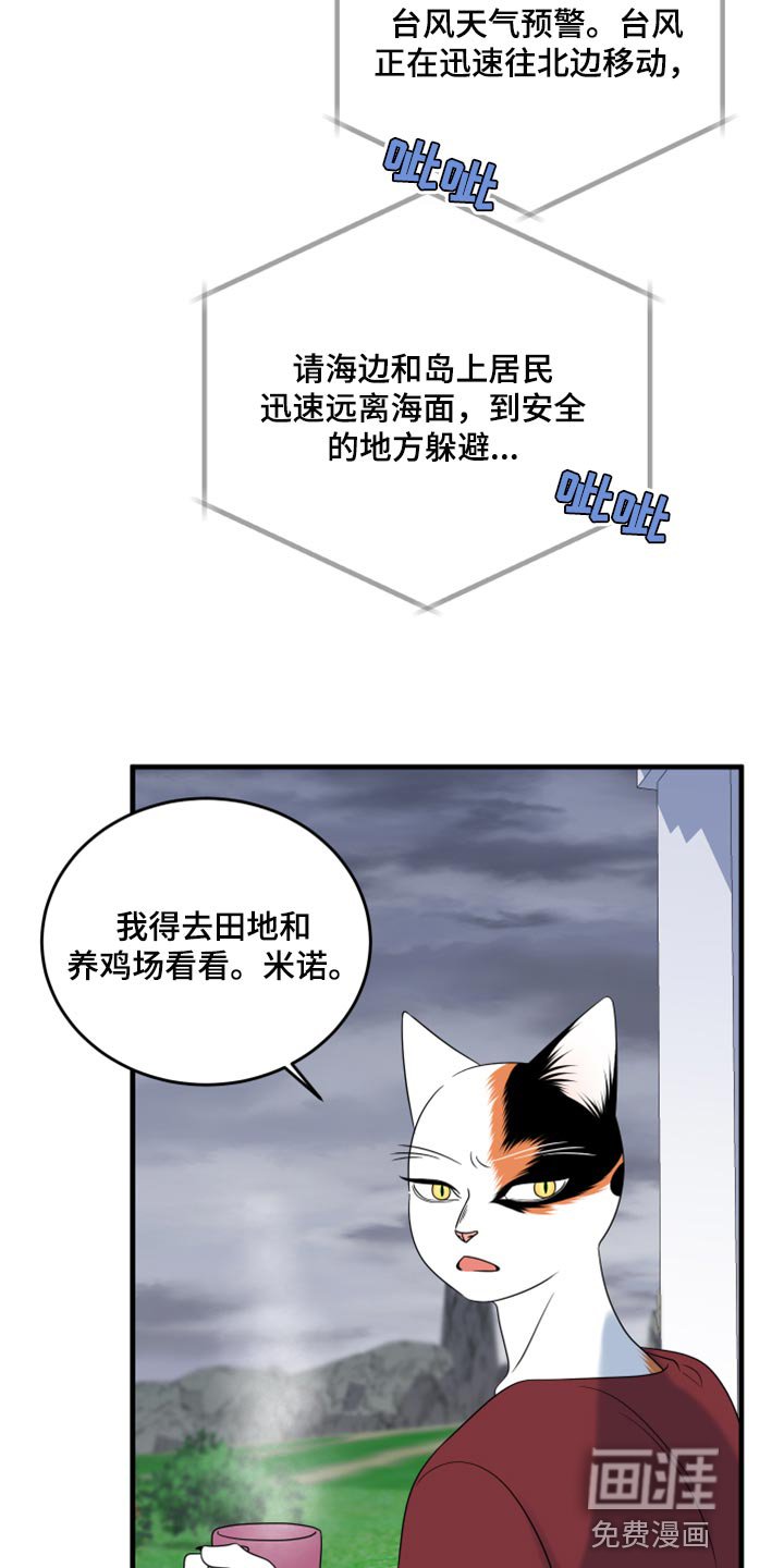 第85章：【第二季】台风