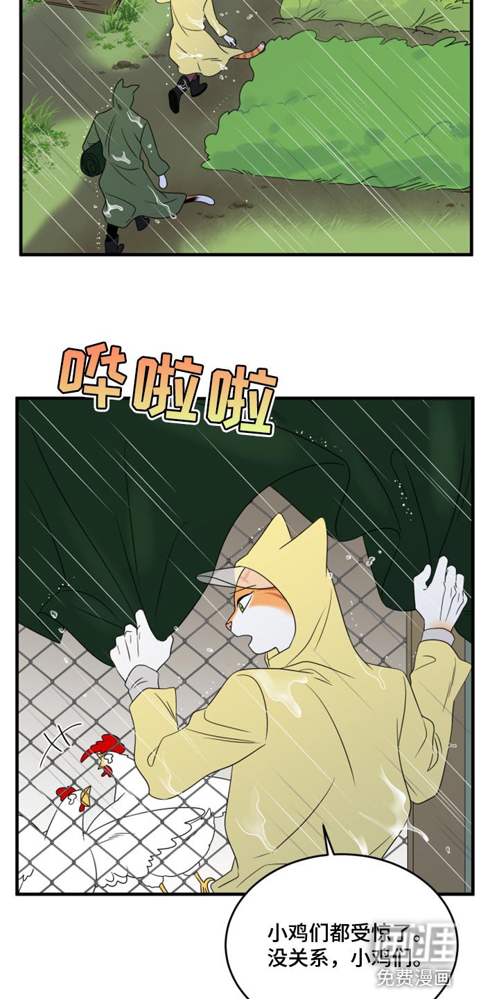 第85章：【第二季】台风
