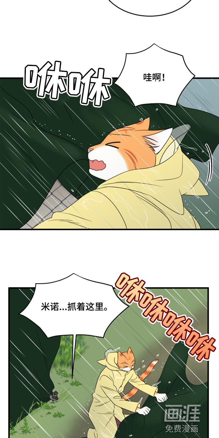 第85章：【第二季】台风