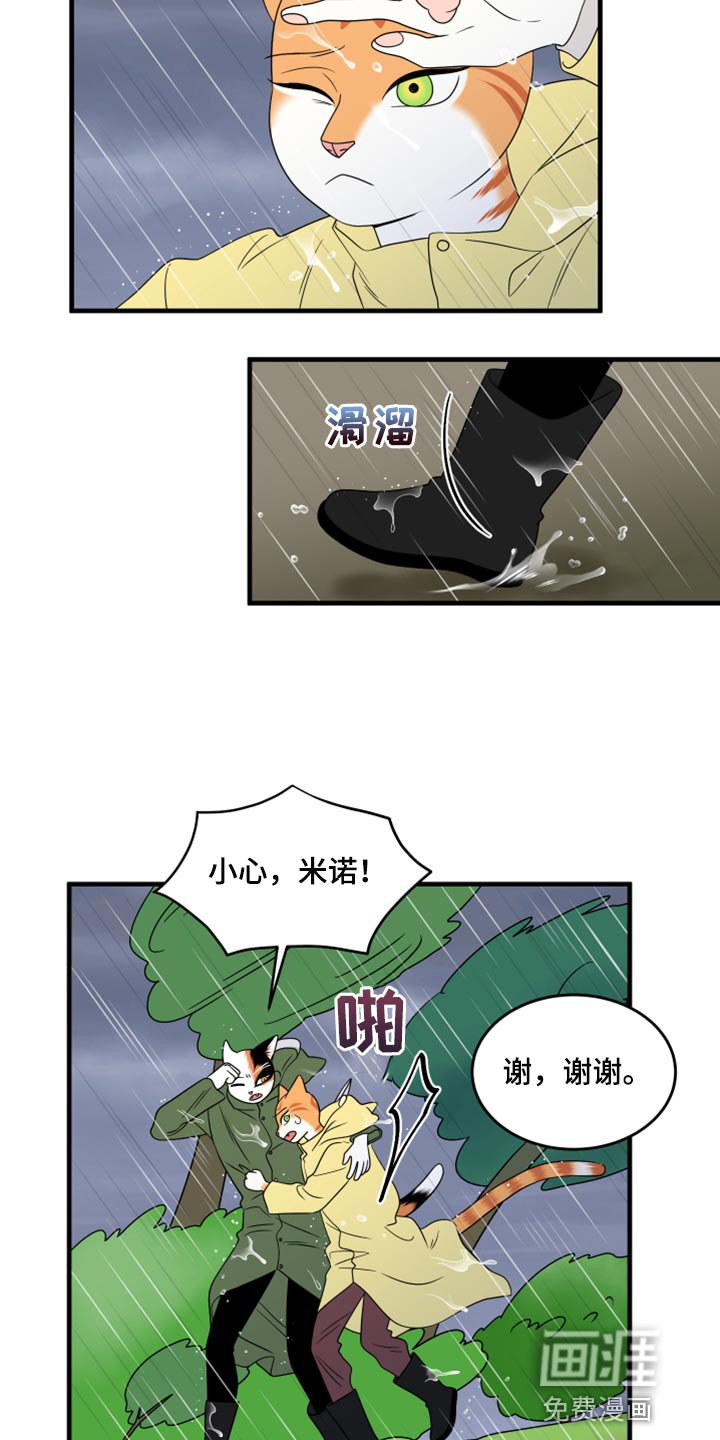 第85章：【第二季】台风