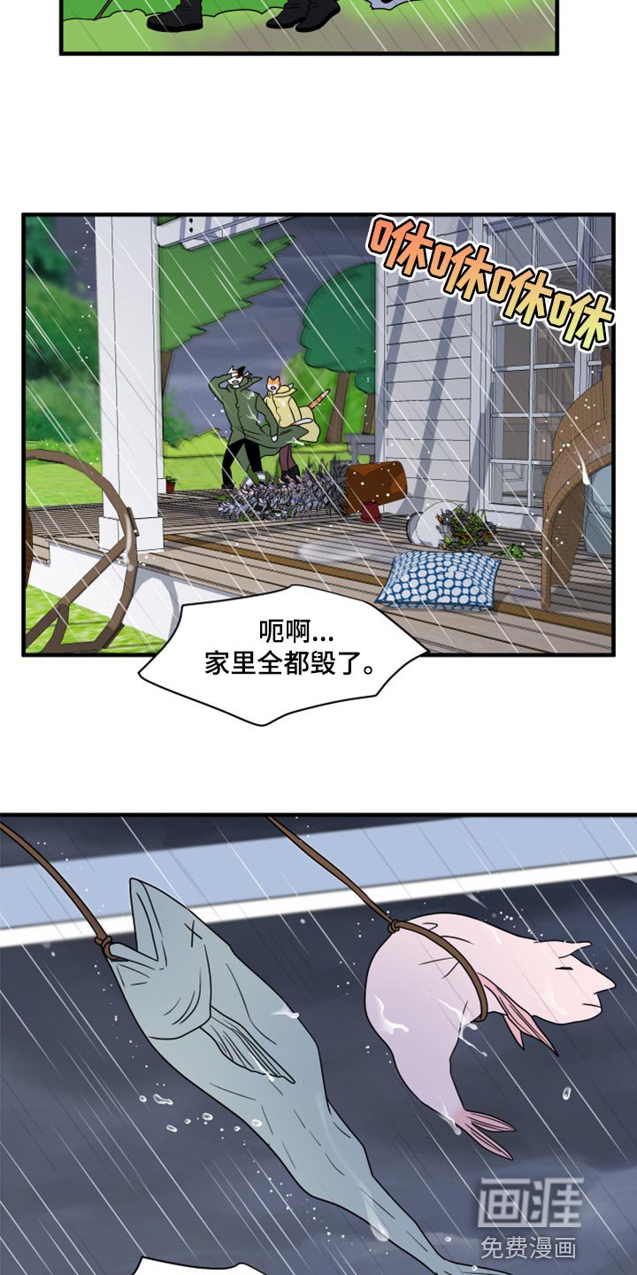 第85章：【第二季】台风