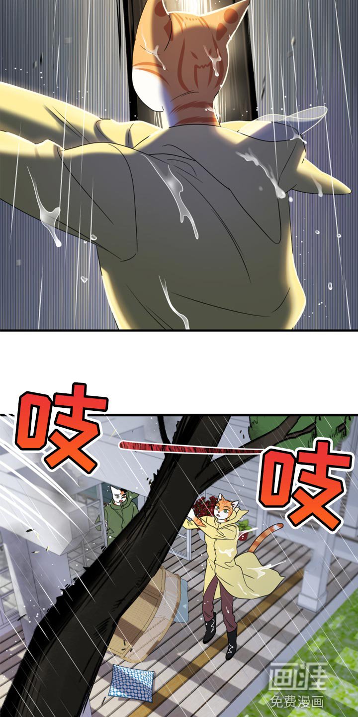 第85章：【第二季】台风