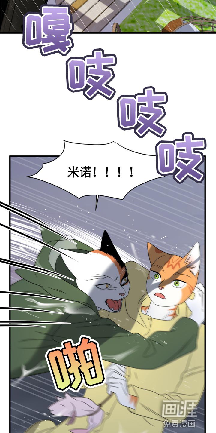 第85章：【第二季】台风