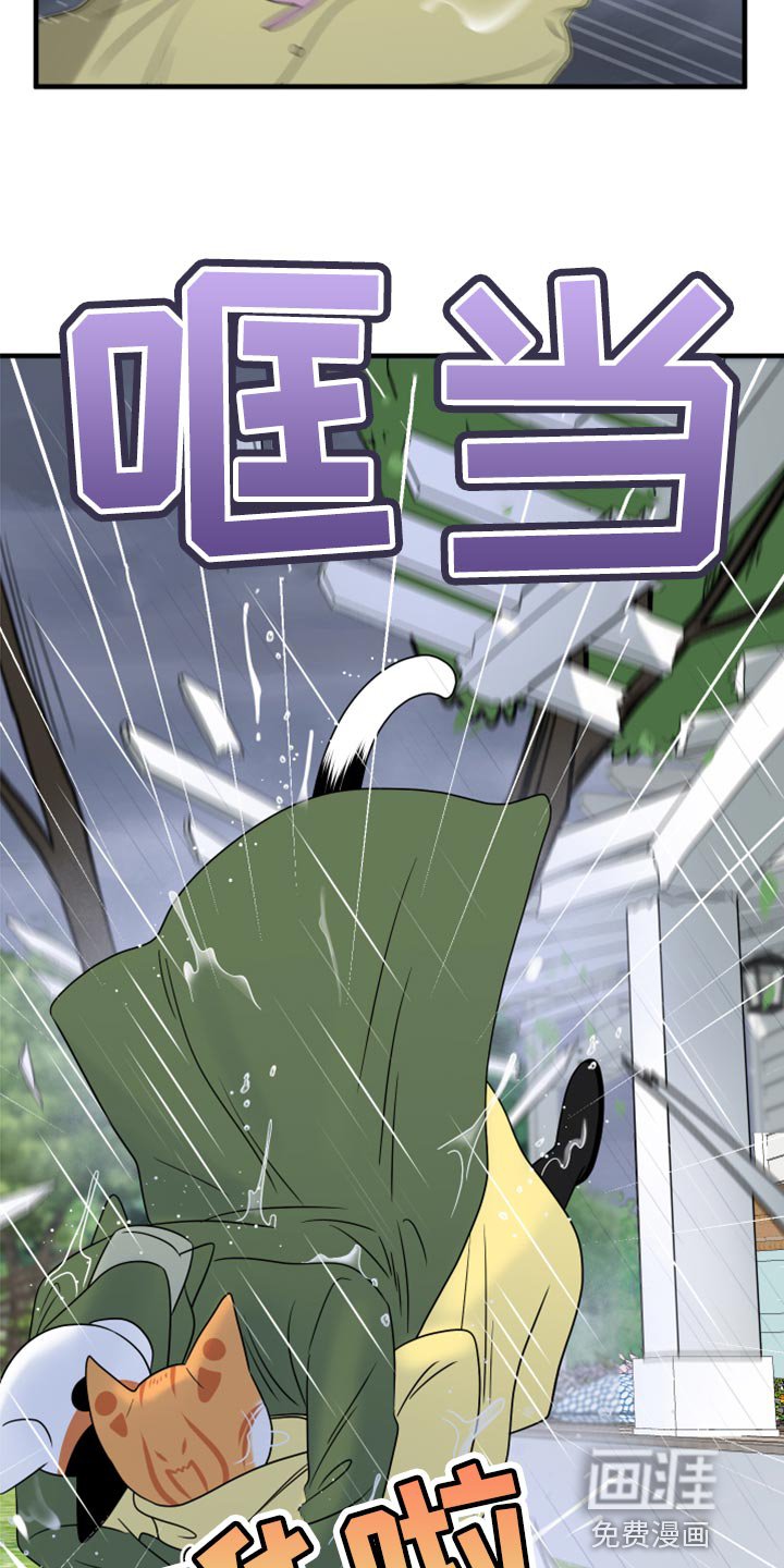 第85章：【第二季】台风