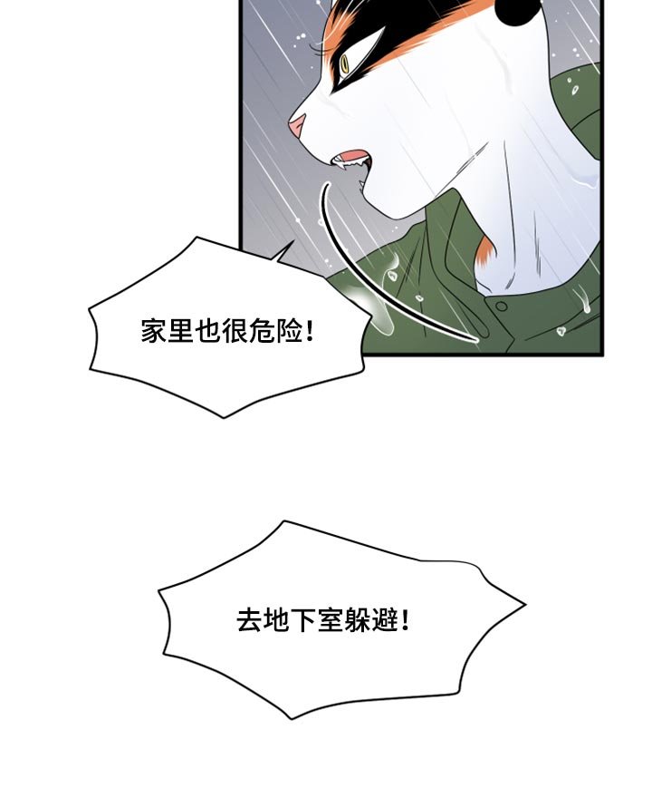 第85章：【第二季】台风