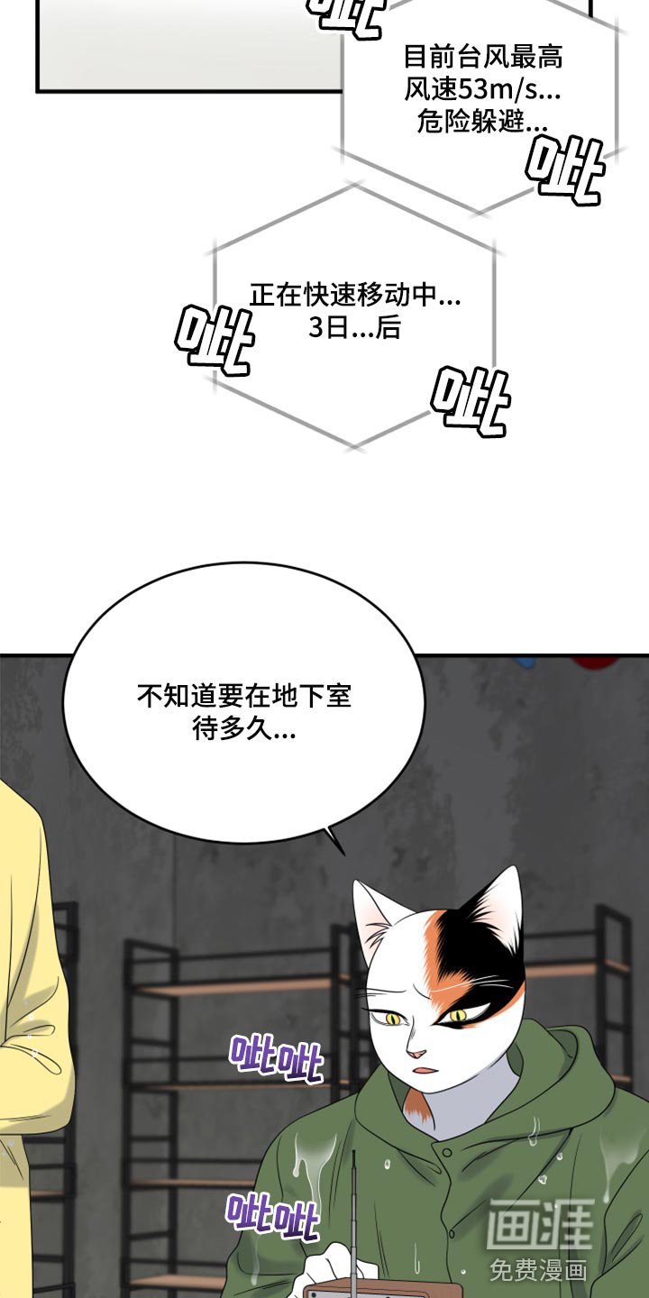 第85章：【第二季】台风