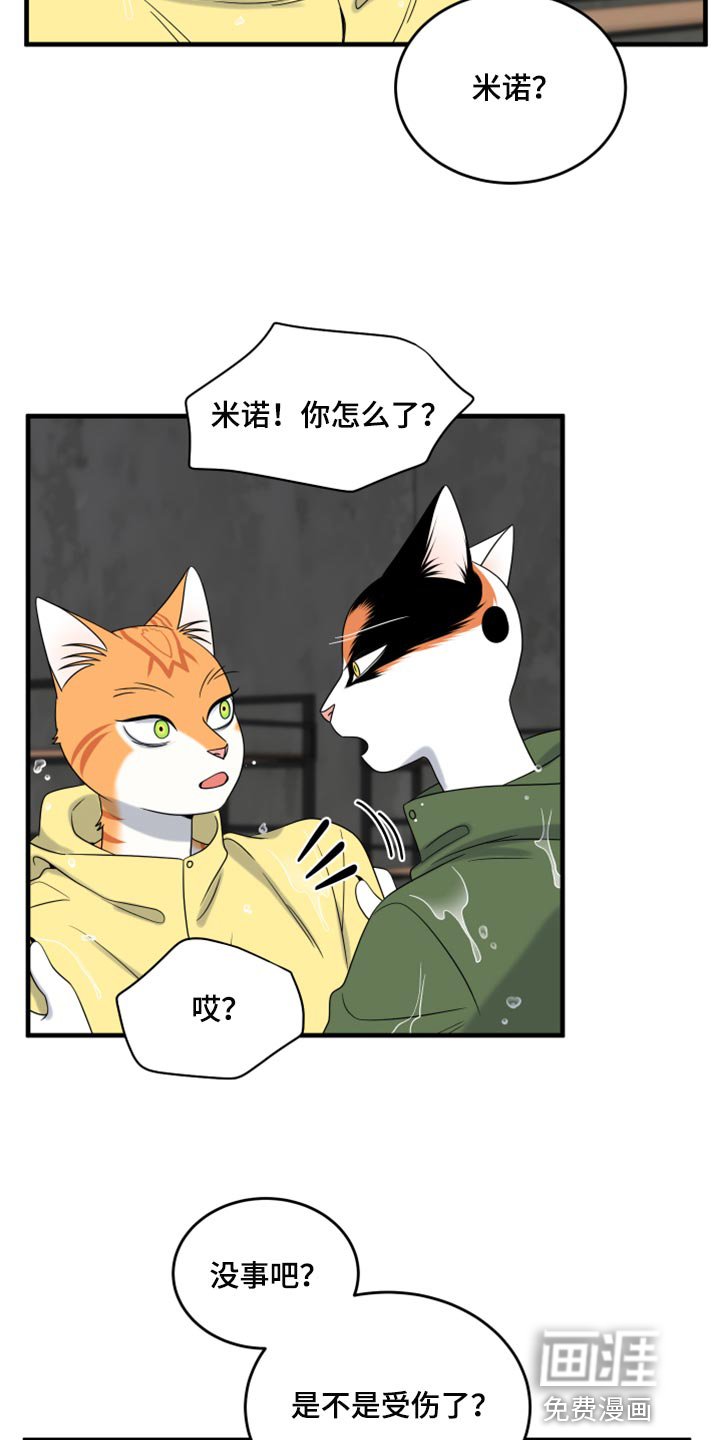 第85章：【第二季】台风