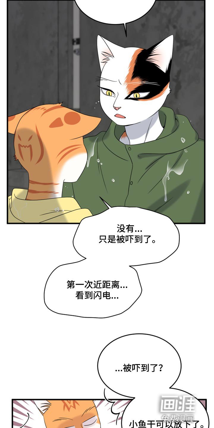 第85章：【第二季】台风