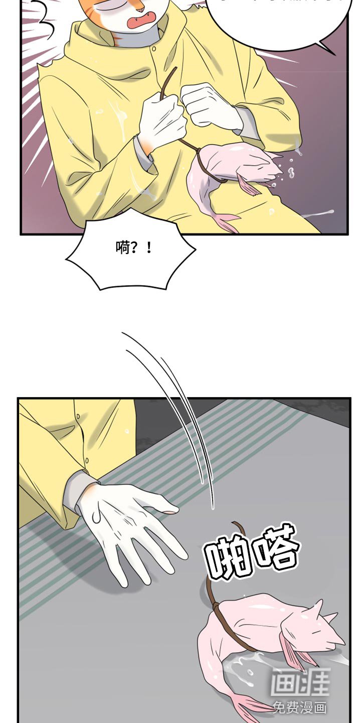 第85章：【第二季】台风