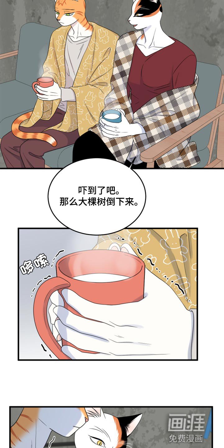 第86章：【第二季】乱七八糟