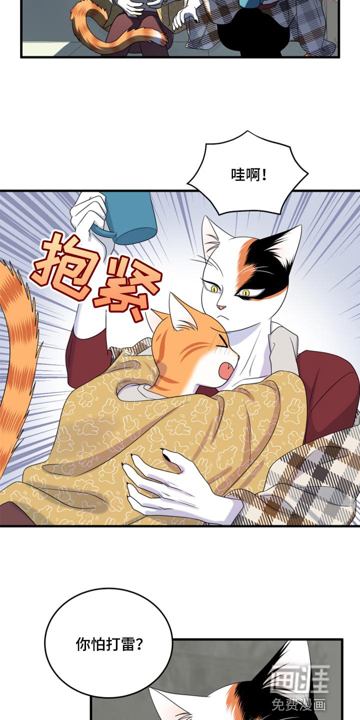 第86章：【第二季】乱七八糟