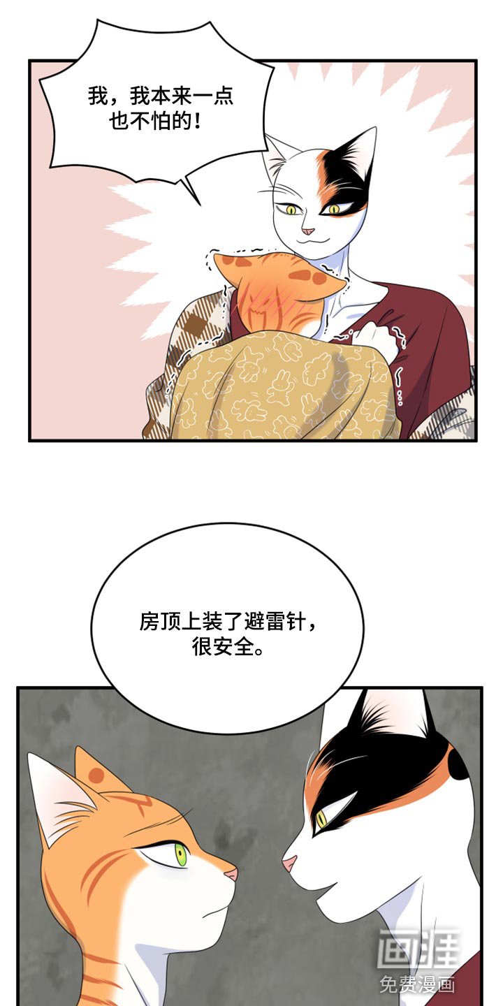第86章：【第二季】乱七八糟