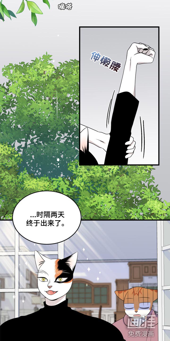 第86章：【第二季】乱七八糟