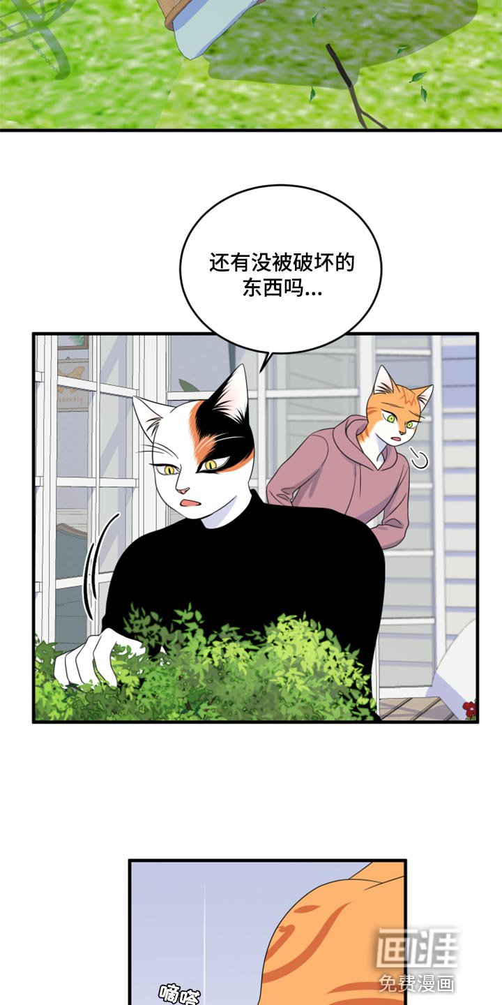 第86章：【第二季】乱七八糟