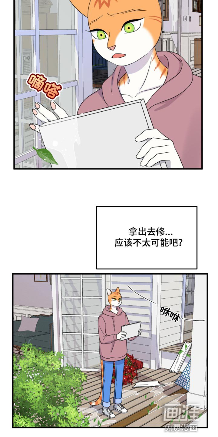 第86章：【第二季】乱七八糟