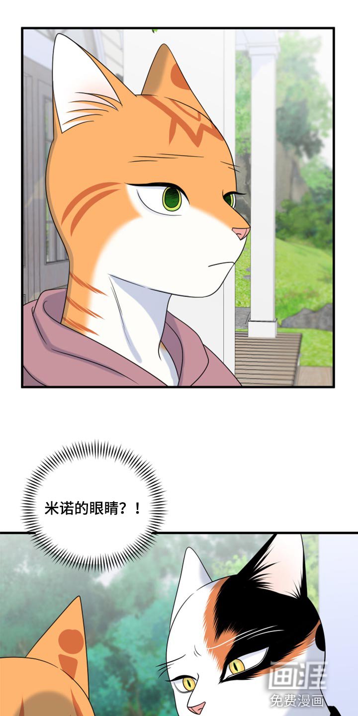 第87章：【第二季】想得太乐观