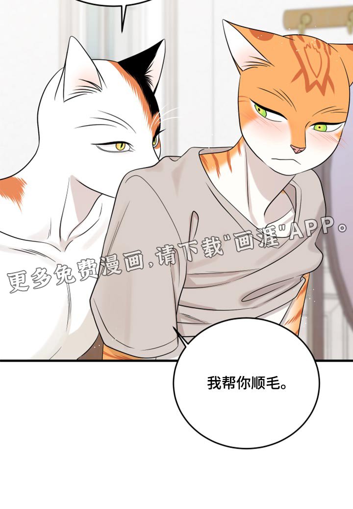 第87章：【第二季】想得太乐观