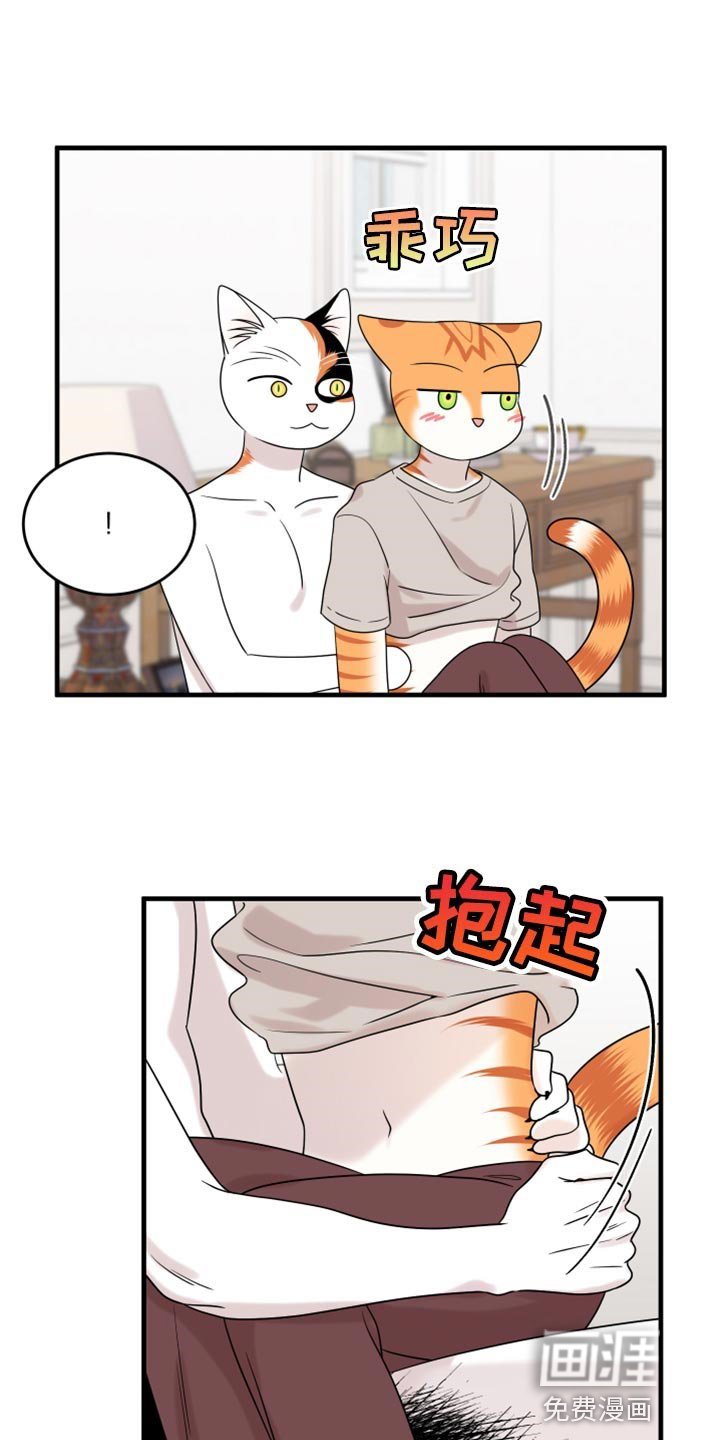 第88章：【第二季】暴走之前