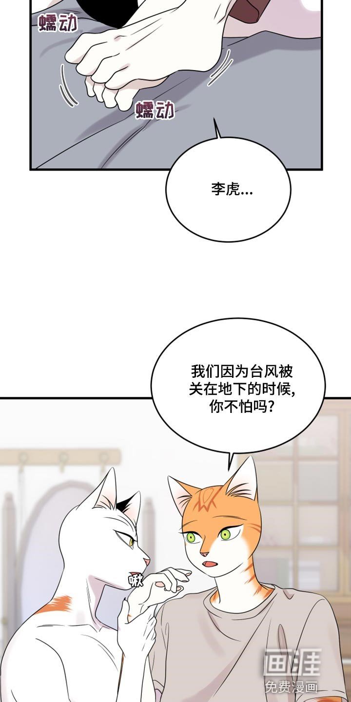 第88章：【第二季】暴走之前