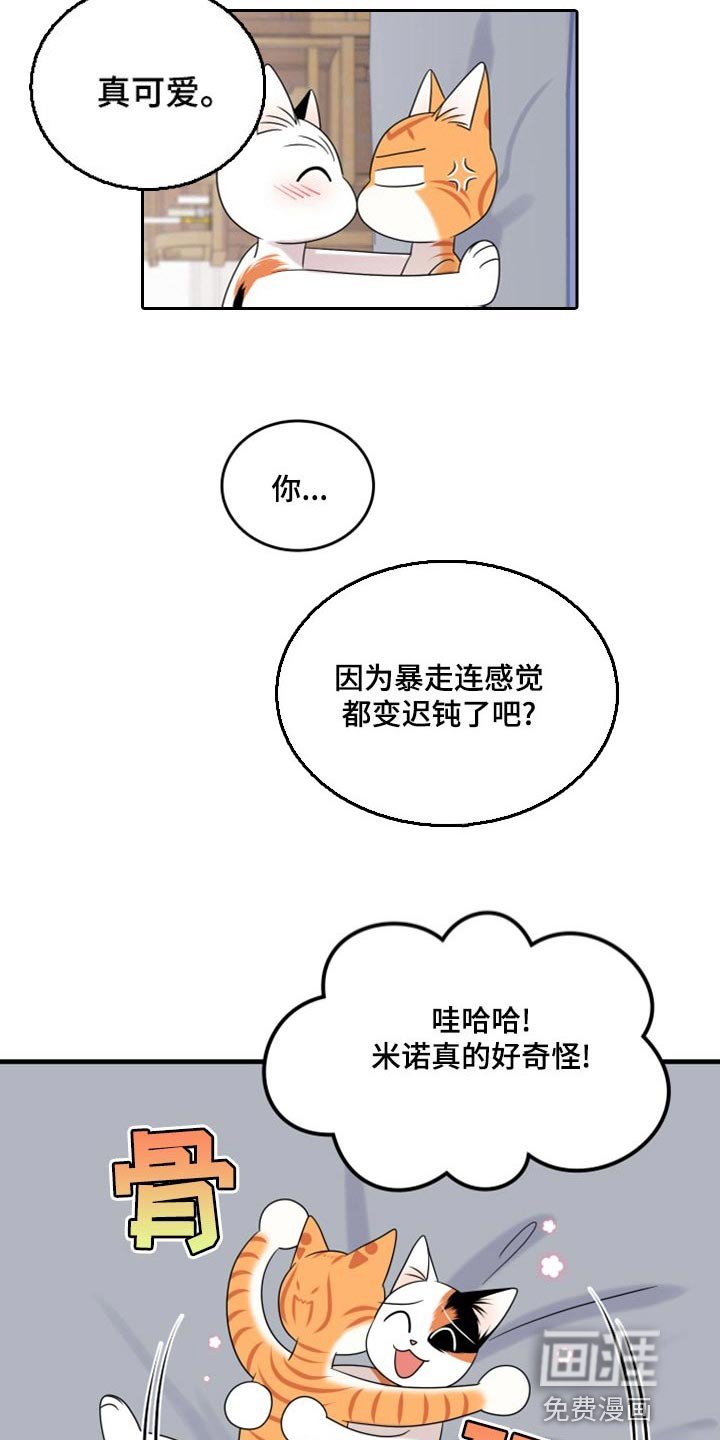 第88章：【第二季】暴走之前
