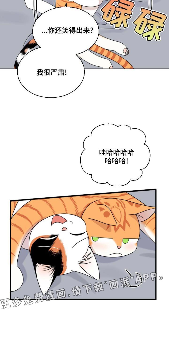 第88章：【第二季】暴走之前
