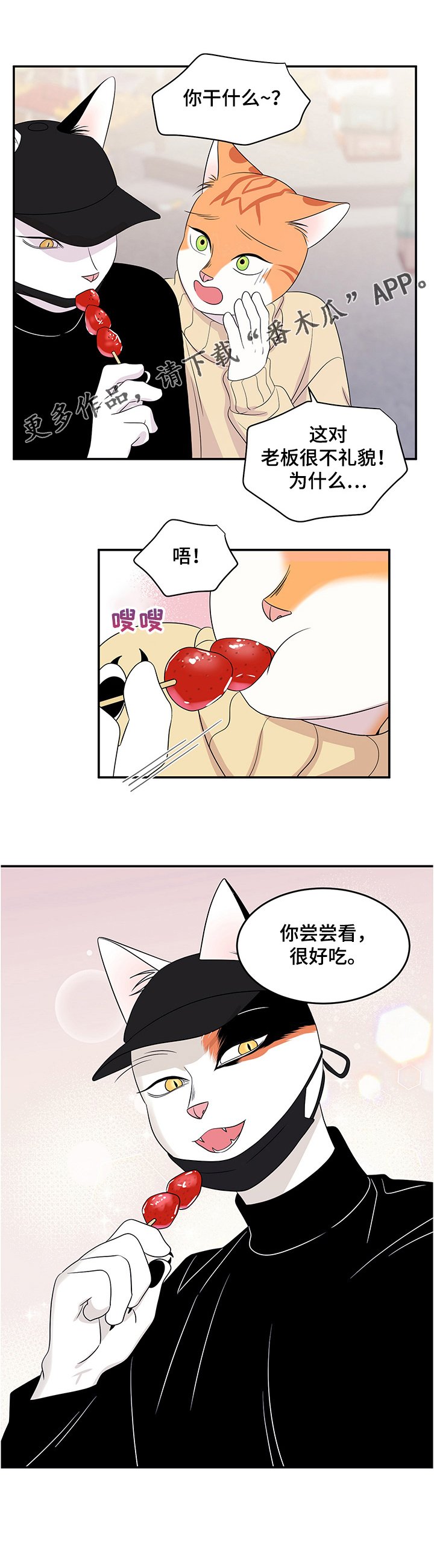 第9章：集市