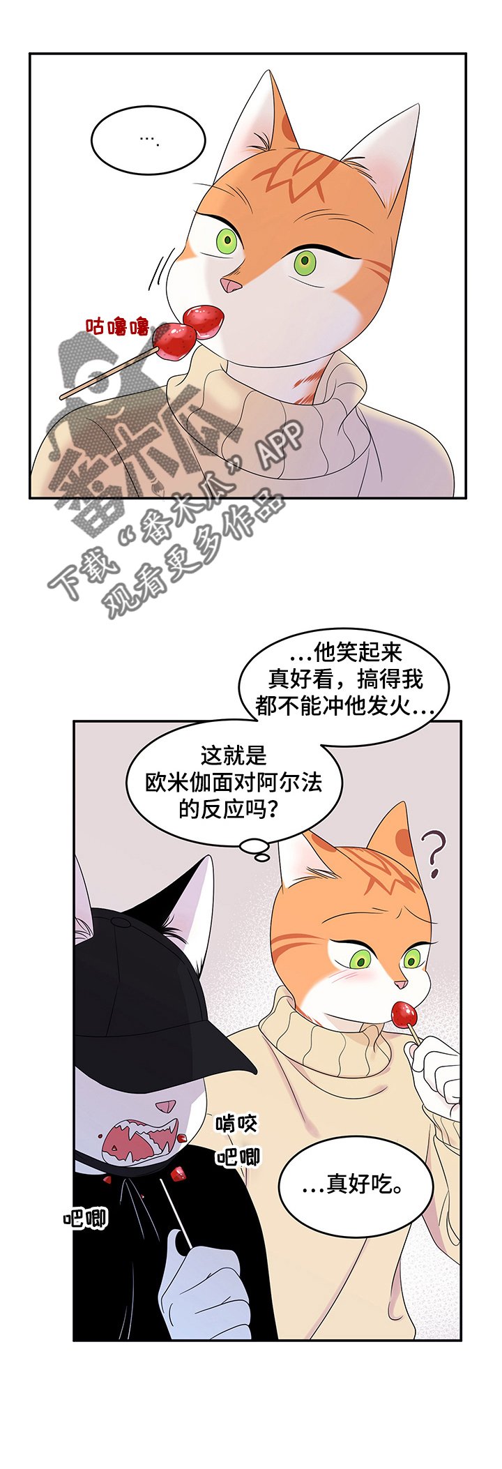 第9章：集市