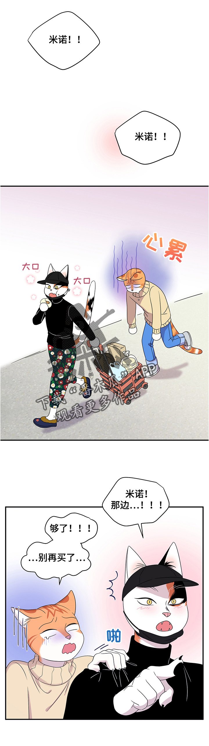 第9章：集市