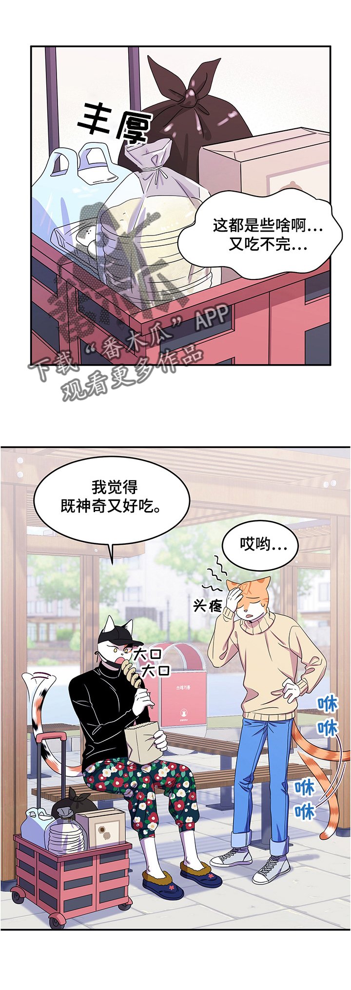 第9章：集市