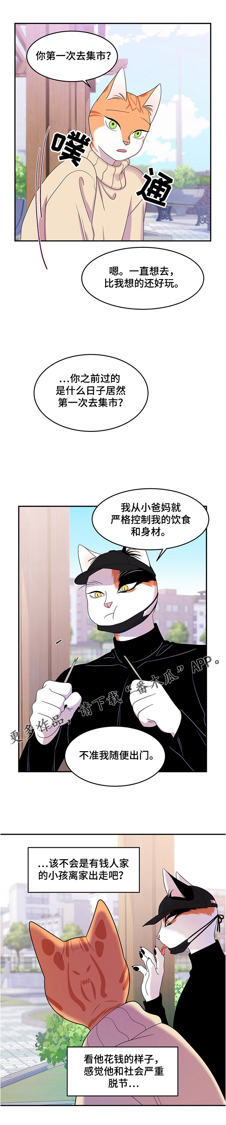 第9章：集市