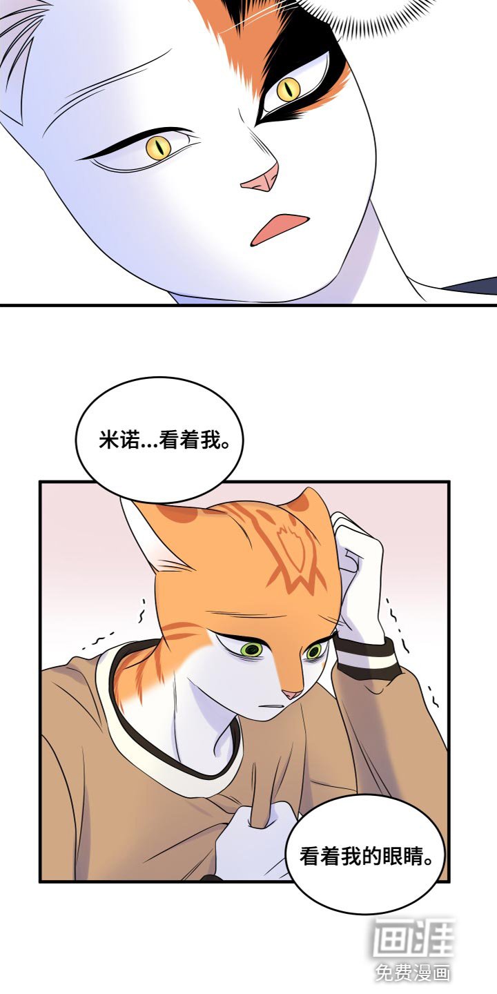 第92章：【第二季】害怕洞穴